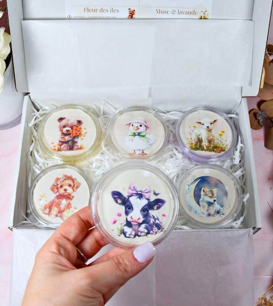 Coffret fondants parfumés "Tender paws"