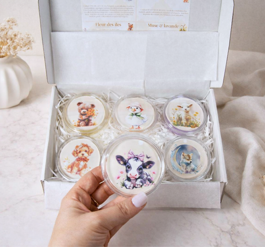 Coffret fondants Magical clearing pour brûle-parfum - cire d'olive végétale faite main - Lolynap