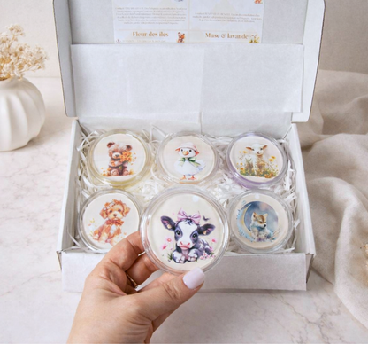 Coffret fondants Magical clearing pour brûle-parfum - cire d'olive végétale faite main - Lolynap
